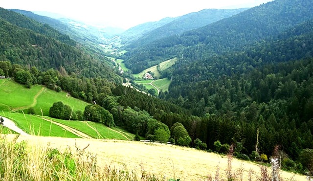 L'Emeraude 126 m2, 4 bedrooms, family 8 people or 3 couples, Vosges mountains