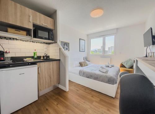 L'Emile Zola - MC2 - Parc