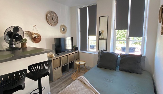 L'emile Zola : Studio Cosy Hyper Centre