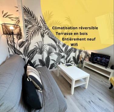 L'ENSOLEILLÉ - Classé 2 étoiles - Nay centre - Appartement