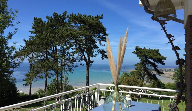 L'ENVIE DU LARGE: charming rental sea view, pink granite coast