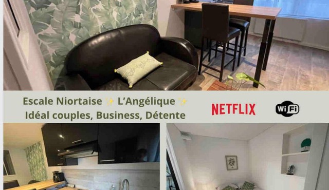 L'escale Niortaise - L'angélique - 10mn gare SNCF, 5 mn hyper centre