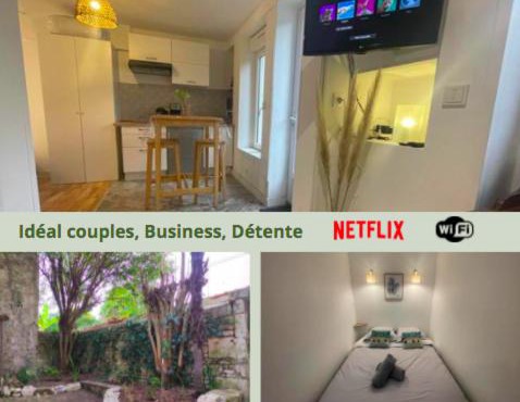 L'escale Niortaise- Le palmier - Centre-ville, Jardin, Netflix, gare SNCF