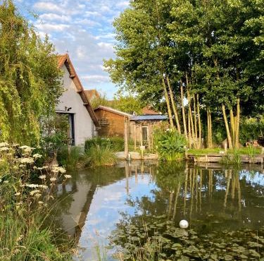 L'Escapade du marais