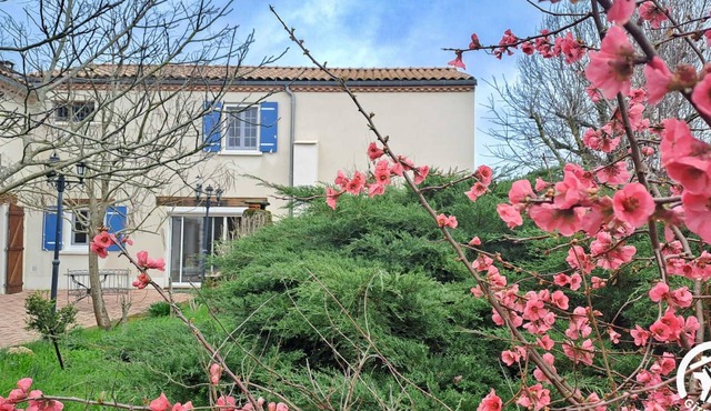 L'esquiròu - castres - Gîte