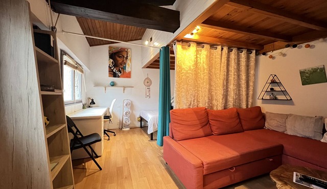 L'Esquirol ☀︎ Studio Charmant ☀︎ Coeur de Toulouse