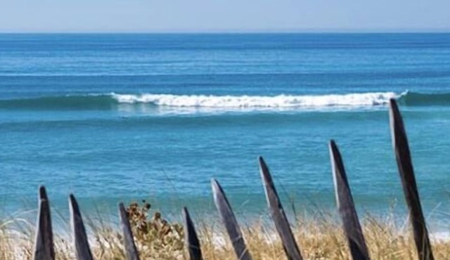 L'estanguet Maison Octogonale en Bois au Coeur de la Forêt Landaise
