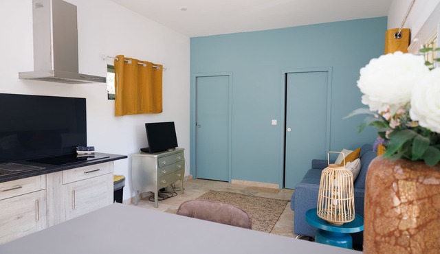 L'ETANG DES CIGALES : Cosy, bright studio, natural pool, sleeps 2