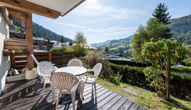 L'Etoile Blanche - Appt vue montagne