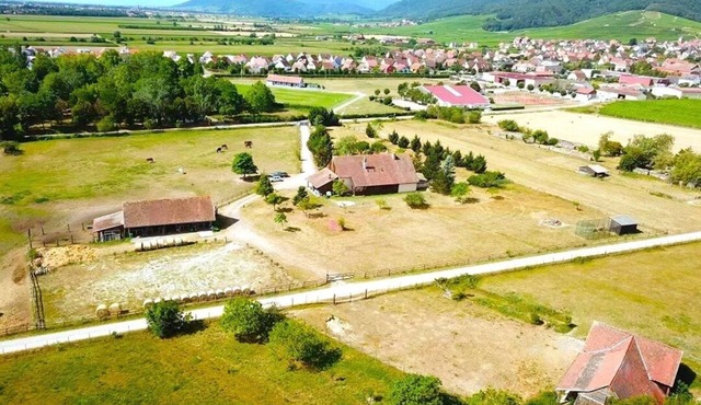 L'Etoile du Vignoble - At the heart of an Alsatian ranch on the Route des Vins!