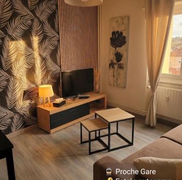 L'Europ'appart - Cosy - Gare - Center parcs -St Croix