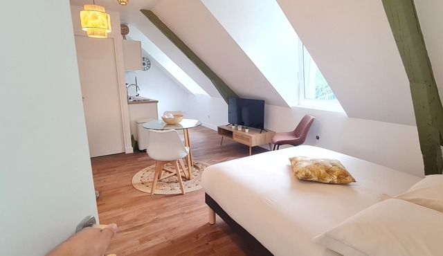 L'Imperial 9 Studio confort - dernier étage - centre ville