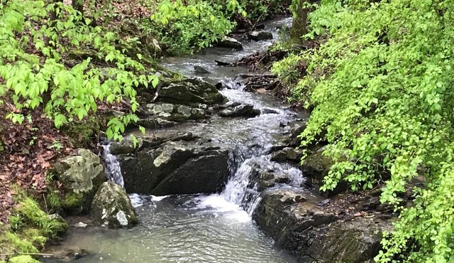 L@K Resort Living on 2 Wooded Acres. Amazing! Outdoor Fun! Hot Springs