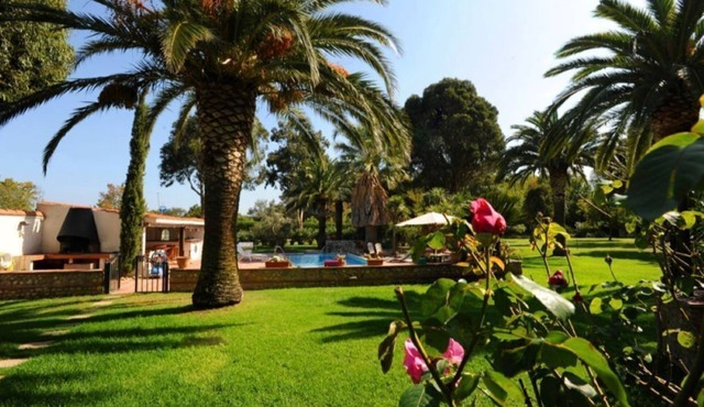 L'Oasis d'Olivier