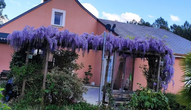 "L'oasis des pins" House 12 pers+ swimming pool 20mm from Le MANS