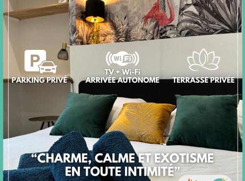 L'Oiseau du paradis - terrasse privée, parking, wifi rapide, arrivée autonome, entre gare et centre-ville, rez-de-chaussée