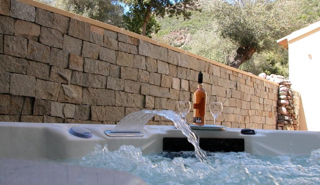 L'oliveraie du Fango