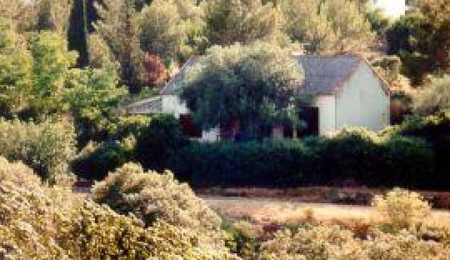 L'Olivier - SAINT MARTIN DES PUITS