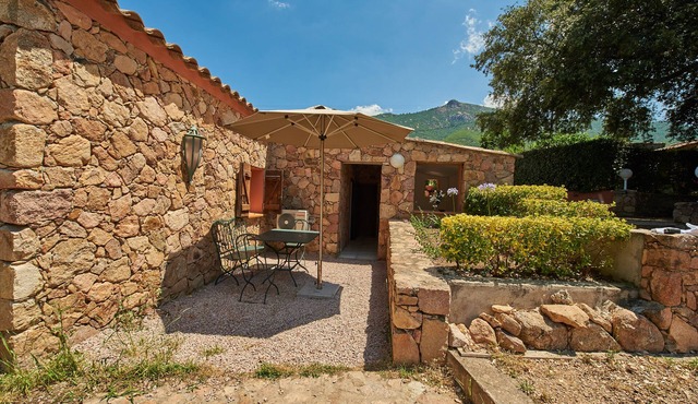 L'Olivier house with swimming pool for 4/6 people