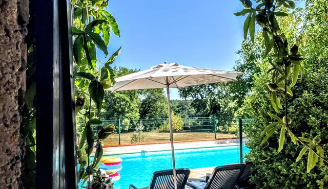 L'or et des landes HOUSE WITH SWIMMING POOL WITH VIEW OF THE FOREST