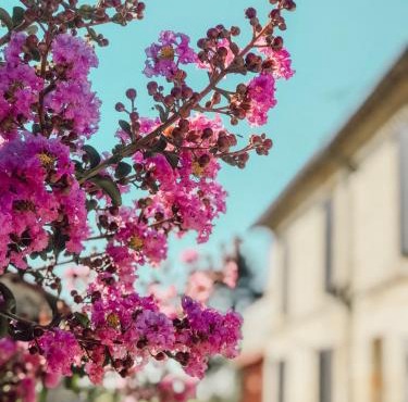 l'Orangerie de La Pontête