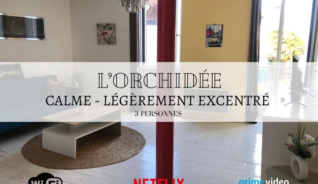 L'Orchidée - À 2 pas du Château de PAU