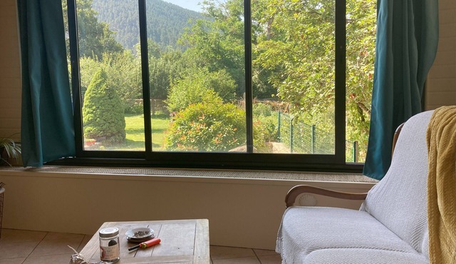 L'Ostalyne cœur Lozère 2/4pers 10' A75, Gorges Tarn-Parc Cévennes, Swimming pool 2' away