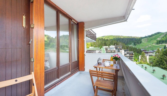 L'Ourson des Myrtilles