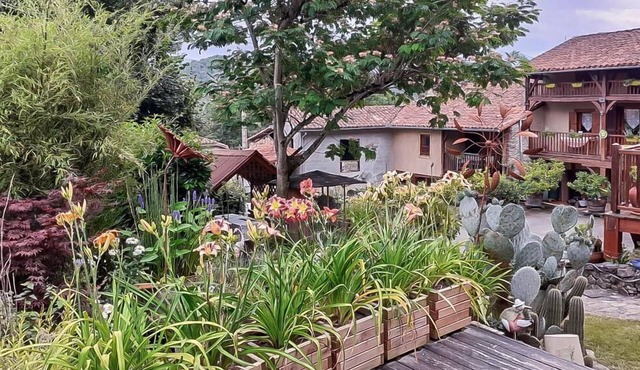 L'Ourson - Montespan