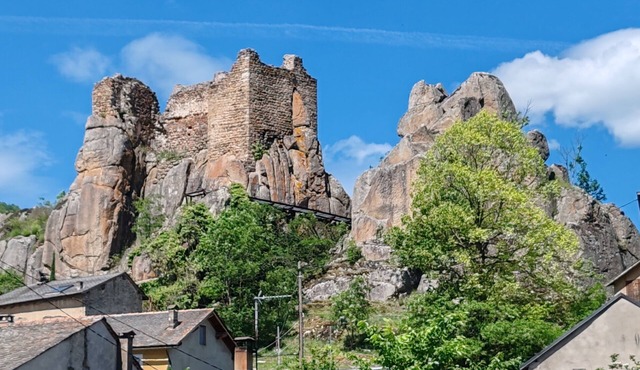 L'Oursonnière de la Rende