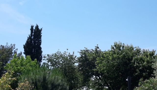 L'Oustalet a Carbonne Small house for 2 people with swimming pool and garden.