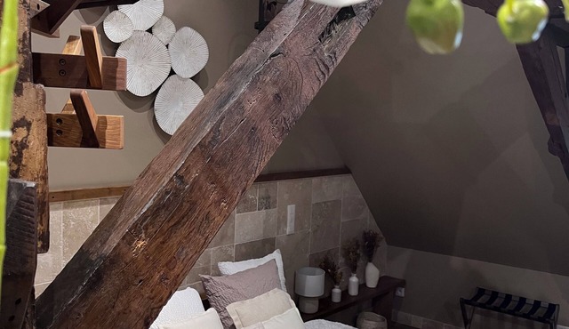 La 104 Zen private cocooning room with whirlpool bath.