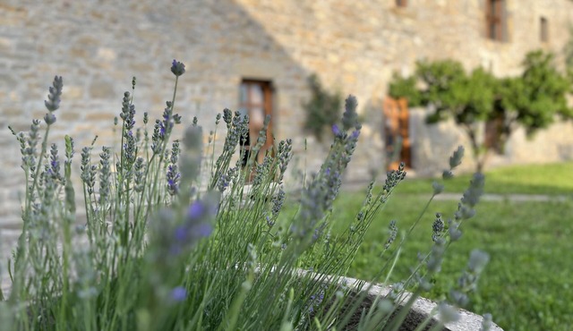 La Abadía with terrace, garden and barbecue