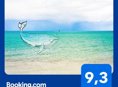 La BALEINE BLEUE