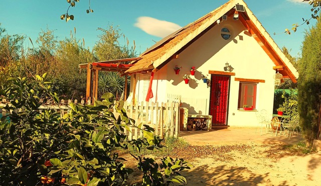 La Barraca de Ro - House in the orchard of Murcia with pool and garden.