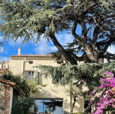 La Bastide du Cèdre - 20 minutes from Collioure
