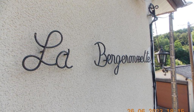 La Bergeronnette Le Buisson