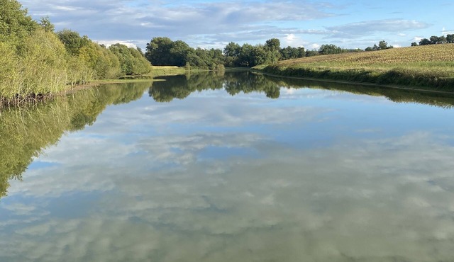 La Bergerie (the pond)