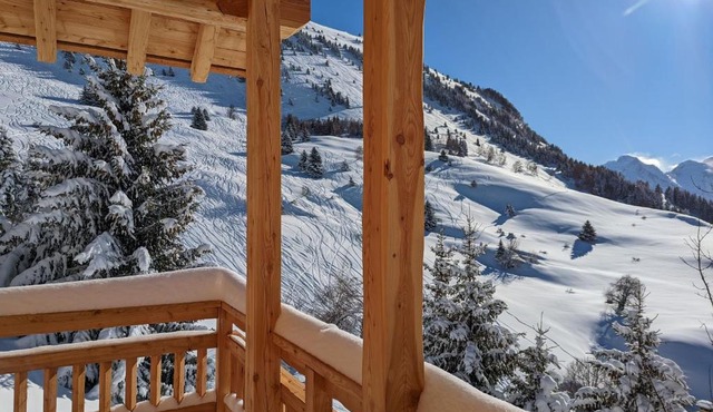 La Boutame : chalet au pied des pistes à Villard Reculas