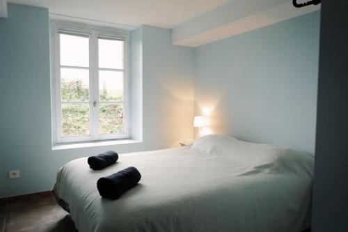 La buanderie du château