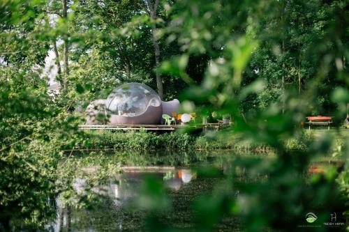 La Bulle au bord de l'eau