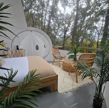 La bulle perchée de Chantilly