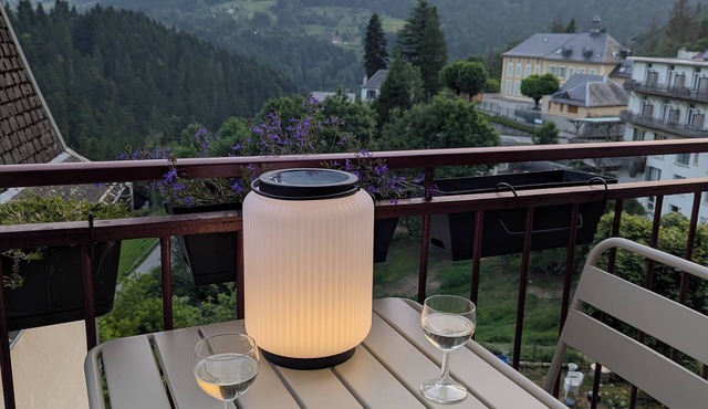 La Chartr’heureuse in the heart of the Park