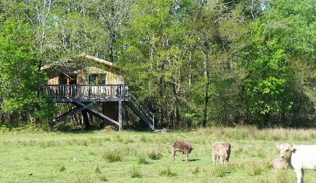 La Cabane Pastorale - Cabanac ET Villagrains