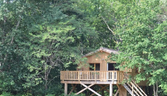 La Cabane Landaise - Cabanac ET Villagrains