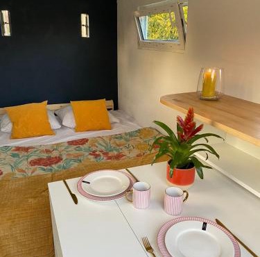 La cabane au fond du jardin