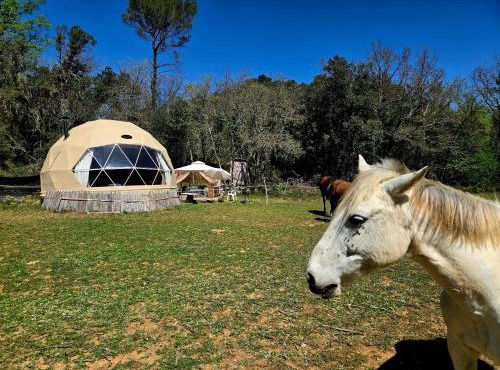 La Cabane aux Chevaux