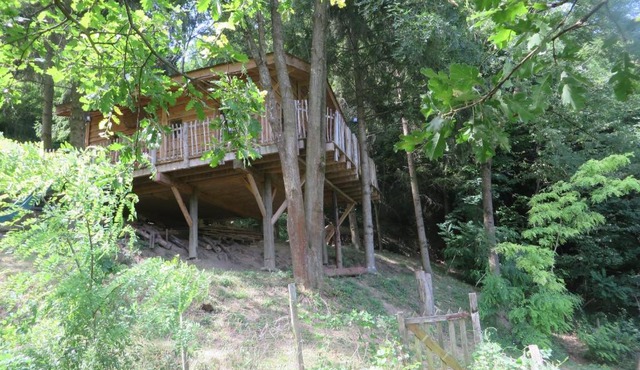 La Cabane aux Sapins