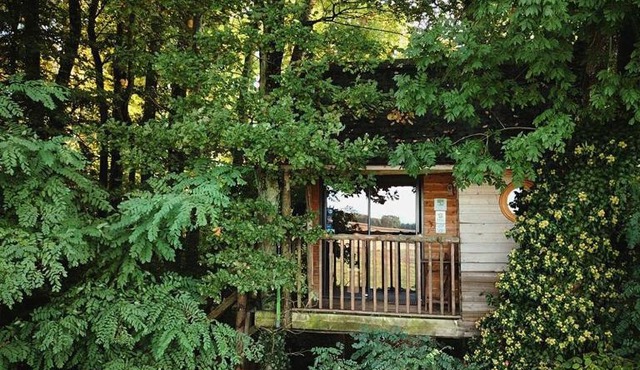 La Cabane aux Secrets - Au Milieu de Nulle Part