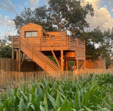 La Cabane dans les Arbres - Les Pieds dans le Pré